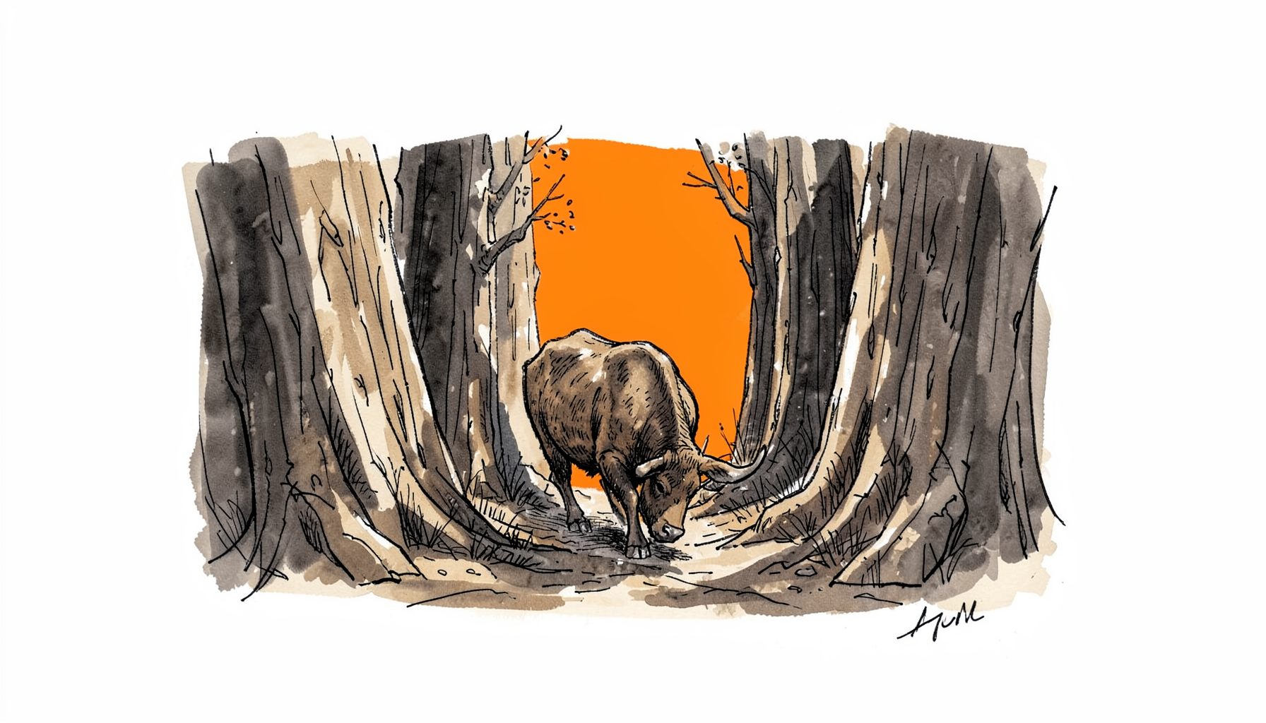 Hand-drawn ink illustration of a buck moving through a narrow funnel between two woodlots, dappled light and shadow, muted browns and charcoal grays.