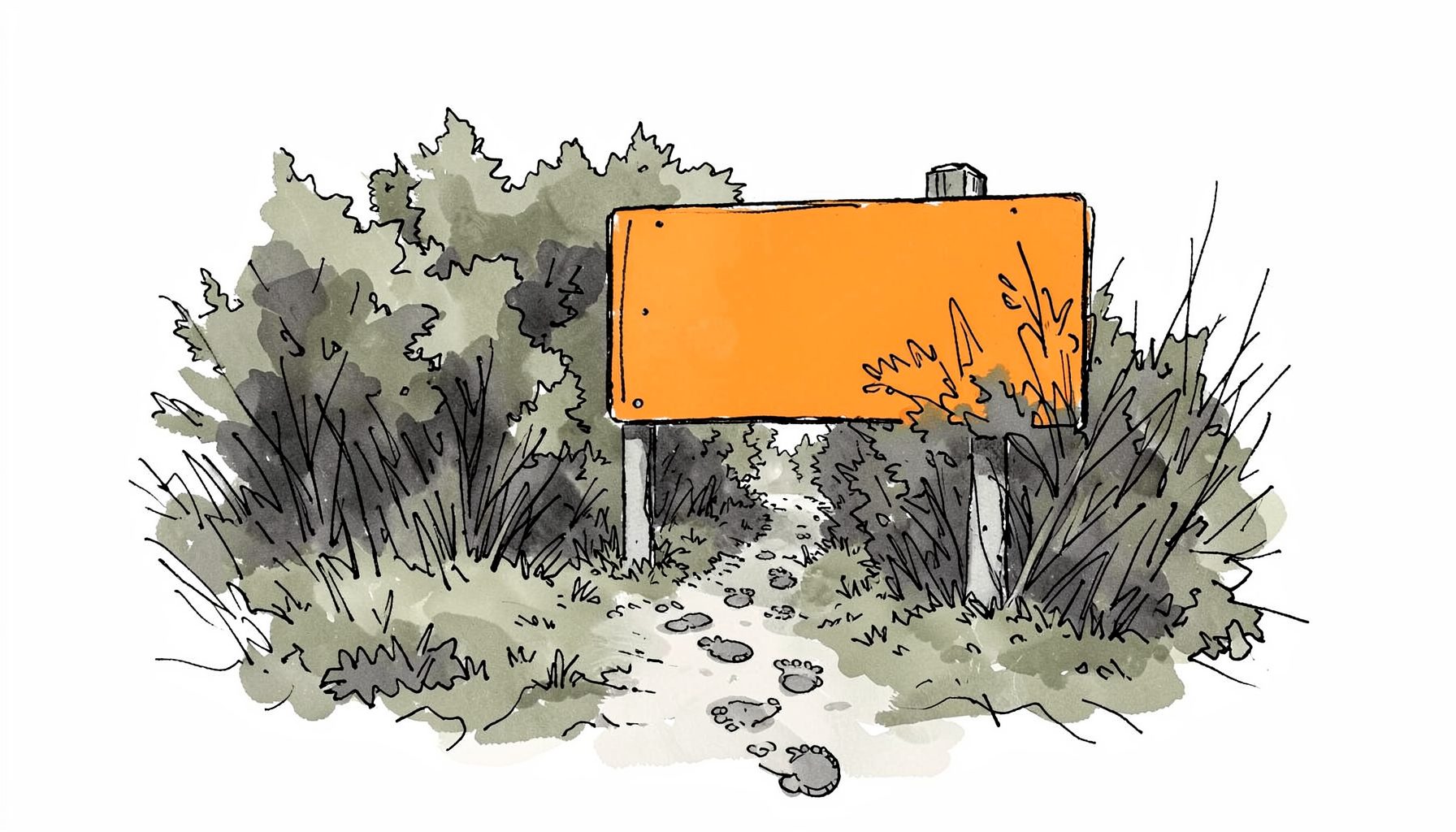 Hand-drawn ink illustration of a public-land sign at a trailhead with boot prints leading into dense cover, subdued grays and olive tones.