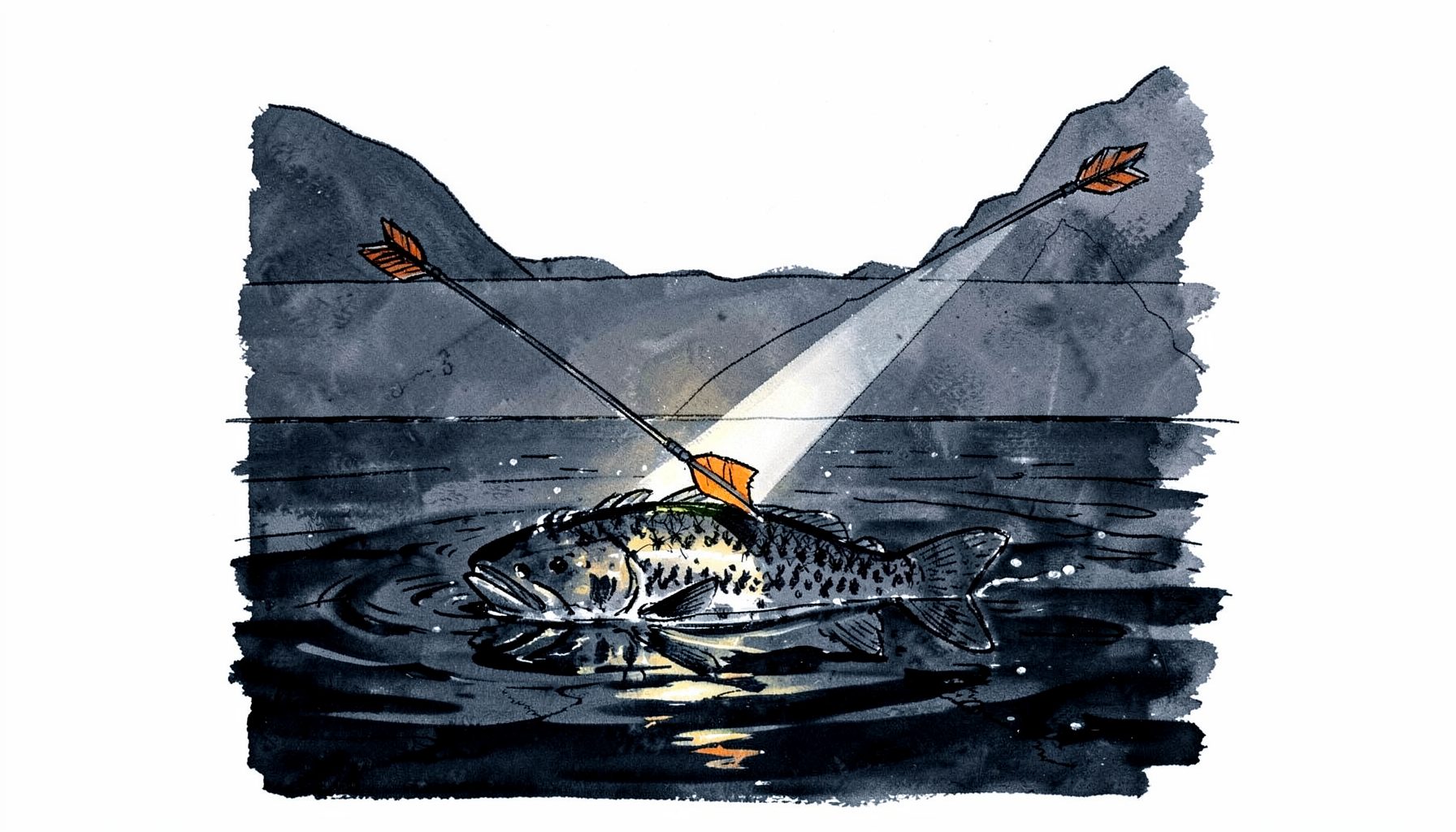 Hand-drawn ink illustration of a bowfishing scene at night, dark water reflecting a spotlight beam, an arrow mid-flight toward a large fish beneath the surface, moody blue-black tones.