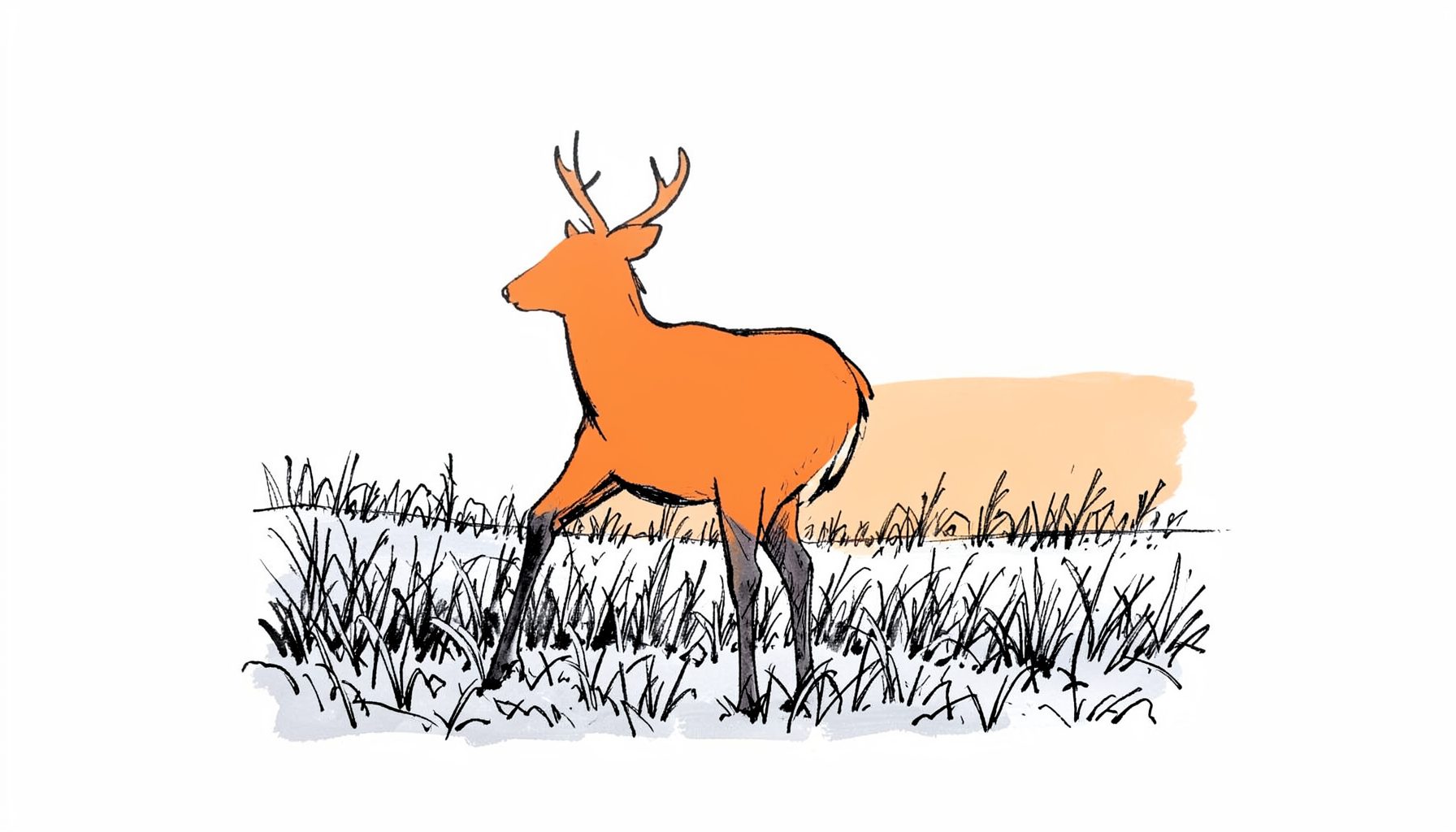A hand-drawn ink illustration of a whitetail deer silhouette against a frost-covered field at dawn, rendered in loose hatching with a quiet, cold atmosphere.